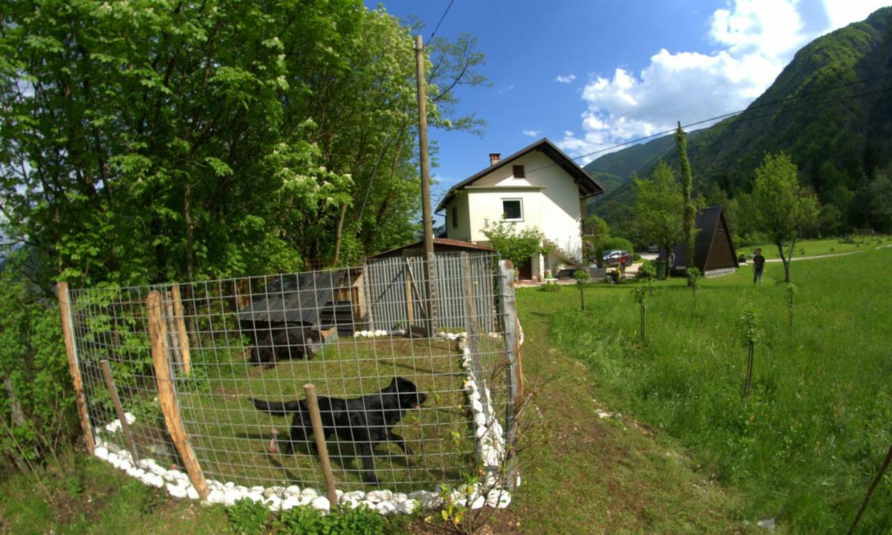 Apartma Bel Zaga Zewnętrze zdjęcie