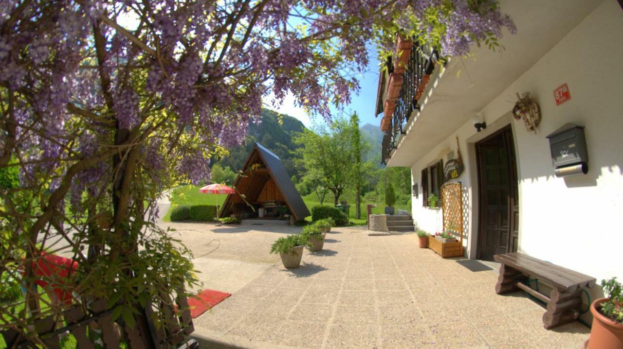 Apartma Bel Zaga Zewnętrze zdjęcie